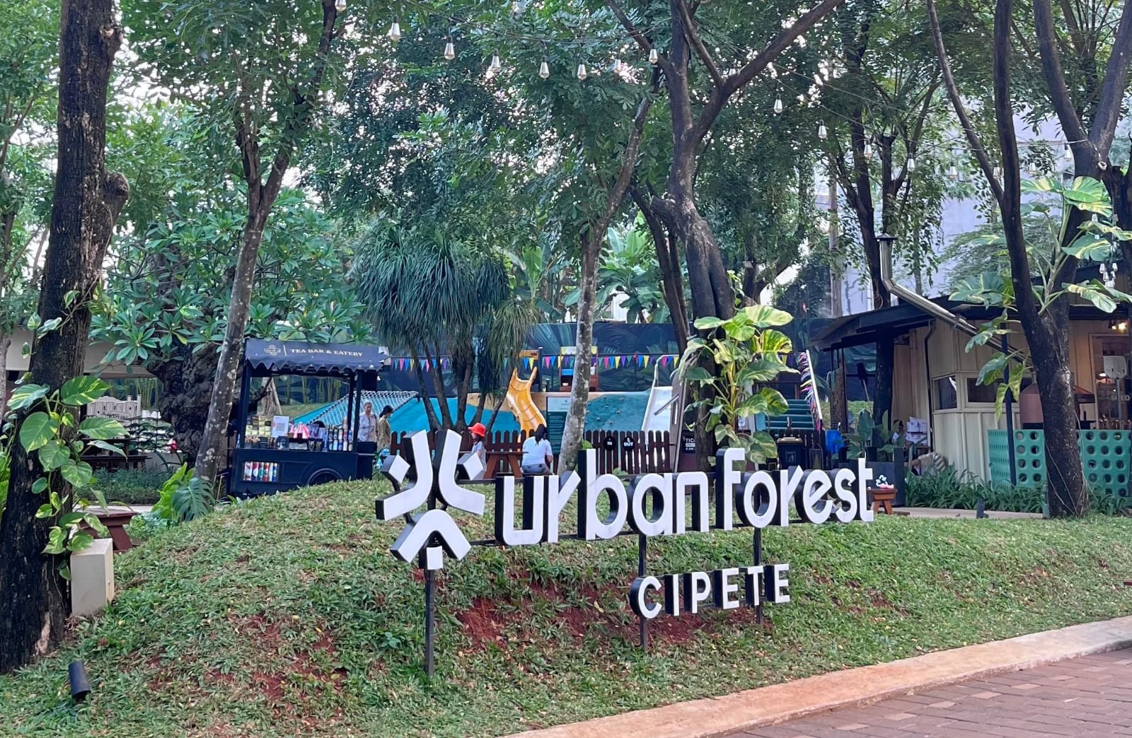 Urban Forest Cipete