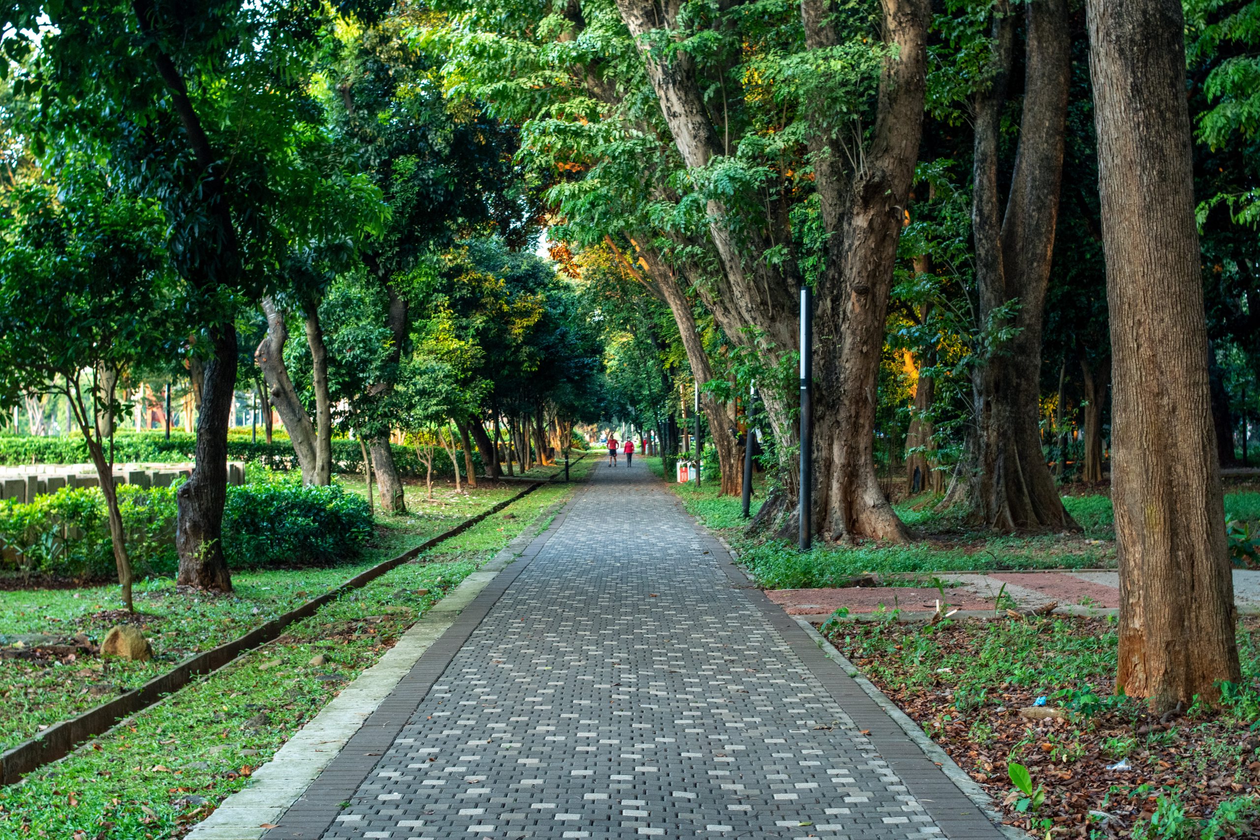 Delman Elok Park