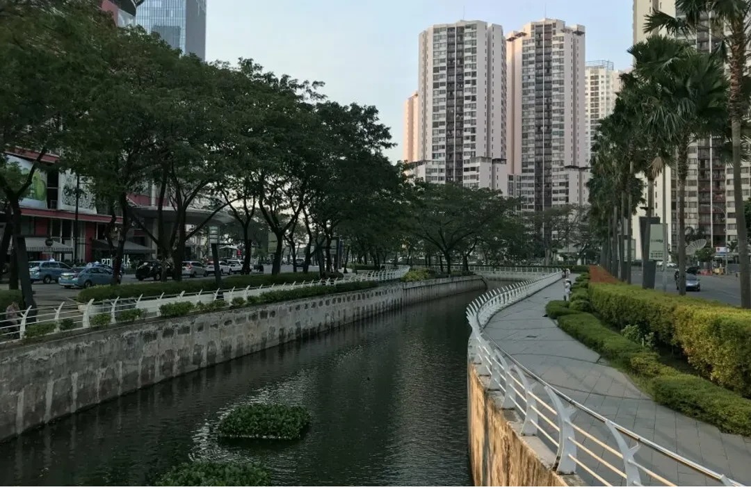 Fish Feeding Riverside Rasuna Epicentrum