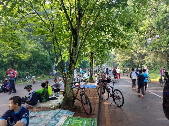 UI Park