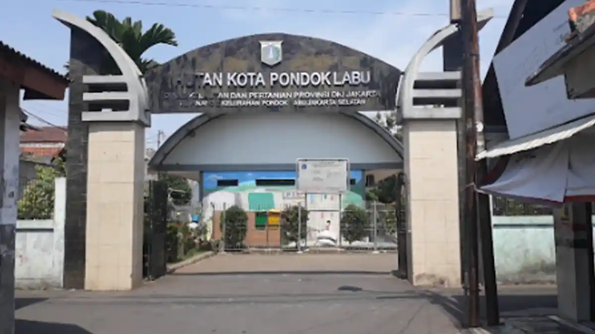 Hutan Kota Pondok Labu