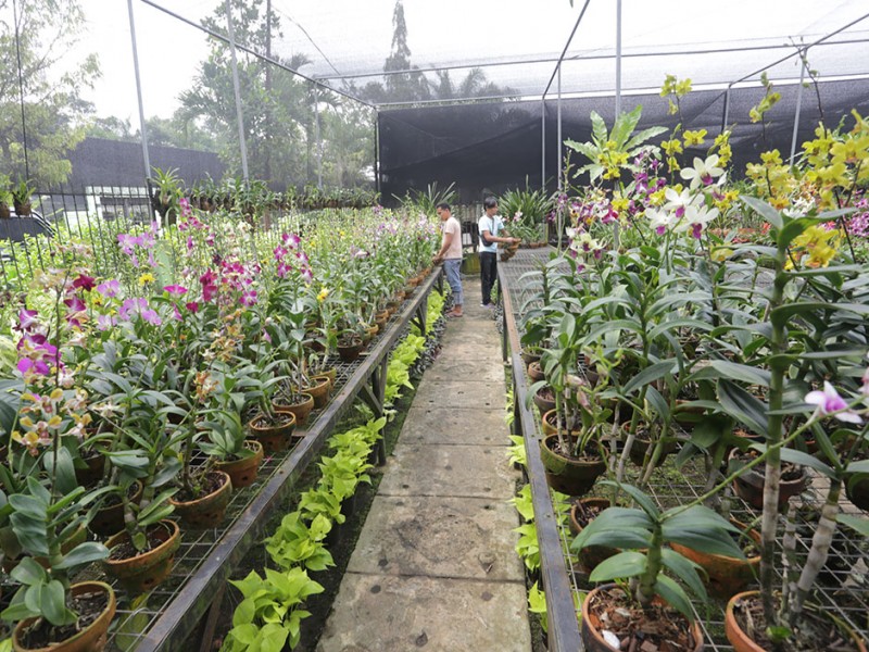 Taman Janggrek